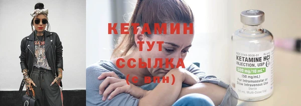 гидра Володарск