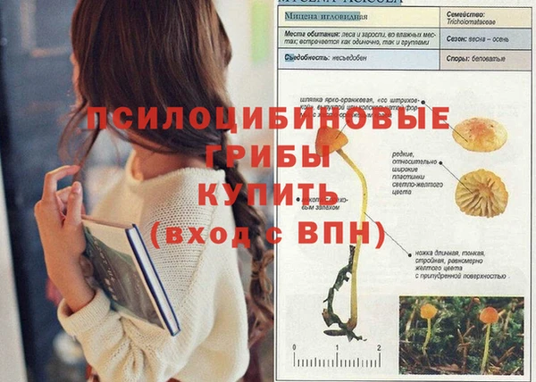 гидра Володарск