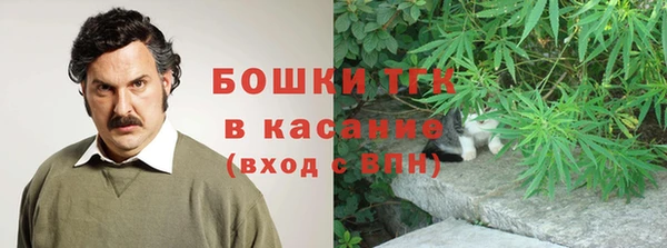 гидра Володарск