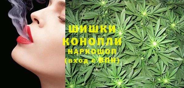гидра Володарск
