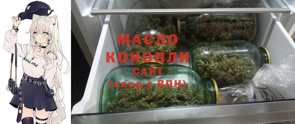 гидра Володарск
